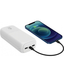 Rebeltec Powerbank p30 30,000mah