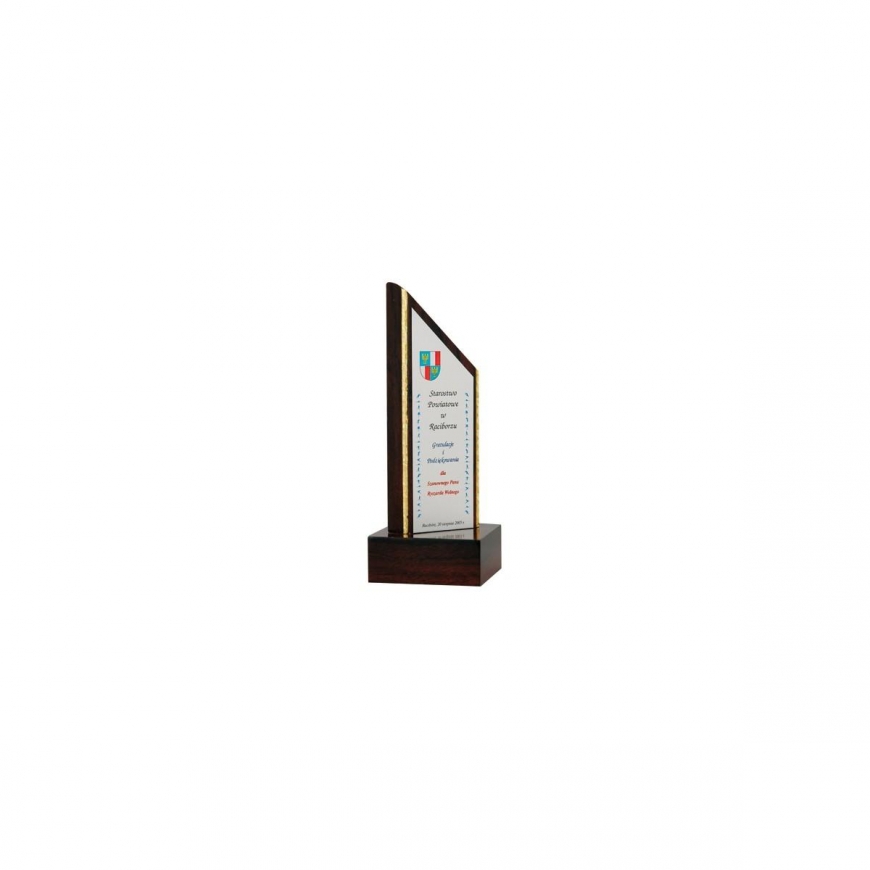Tryumf Trofeum with tworzywa sztucznego grawerowane – 2