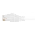 Deltaco MD-24 коннектор RJ-45 Прозрачный Deltaco MD-24 коннектор RJ-45 Прозрачный