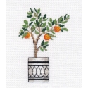 Beldizart Orange tree S1487 Beldizart Orange tree S1487