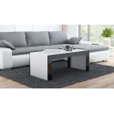 Cama TESS120 BI / CZ kafijas / sānu / galdiņa kafijas galdiņš Taisnstūra forma 2 kājas