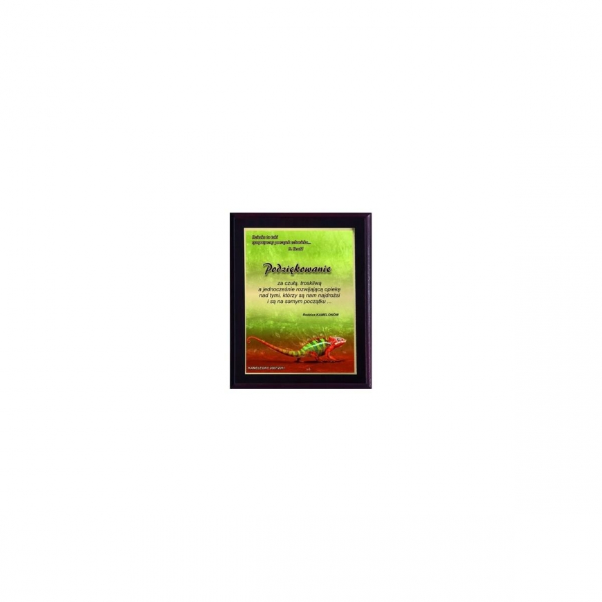 Tryumf Dyplom with tworzywa sztucznego with laminate color touch – 2