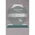 Tryumf Trofeum szklane grawerowane with etui