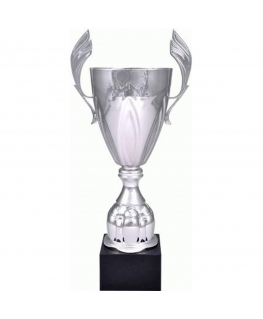 Tryumf Puchar metalowy sidabrinė 4127D