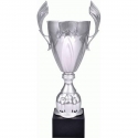 Tryumf Puchar metalowy sidabrinė 4127D