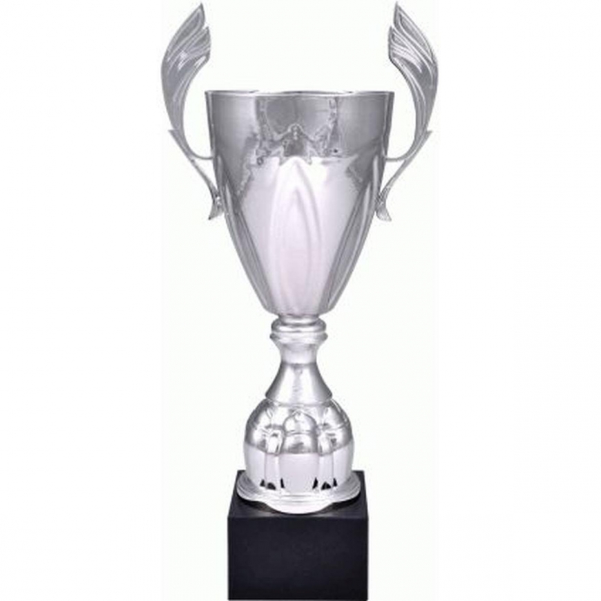 Tryumf Puchar metalowy sidabrinė 4127D – 3