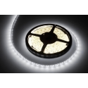Rebel LED strip 5m cold white (300x5050 SMD) 12V Rebel LED strip 5m cold white (300x5050 SMD) 12V