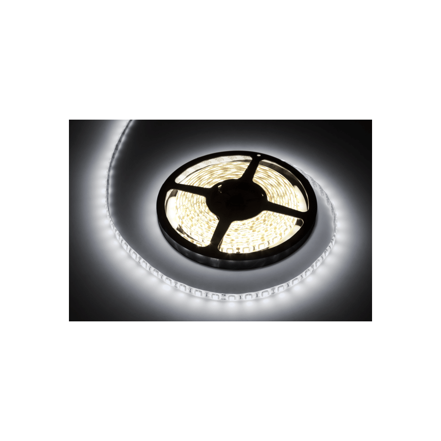 Rebel LED juosta 5m šaltai balta (300x5050 SMD) 12V – 2