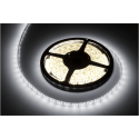 Rebel LED strip 5m cold white (300x5050 SMD) 12V Rebel LED strip 5m cold white (300x5050 SMD) 12V