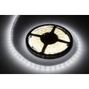 Rebel LED juosta 5m šaltai balta (300x5050 SMD) 12V