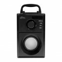 Media-Tech BOOMBOX Silver - Bluetooth speaker with built in woofer, FM radio, MP3 player, lithium battery, 600W PMPO. incl. IR r