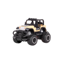 Rebel Remote Controlled Car