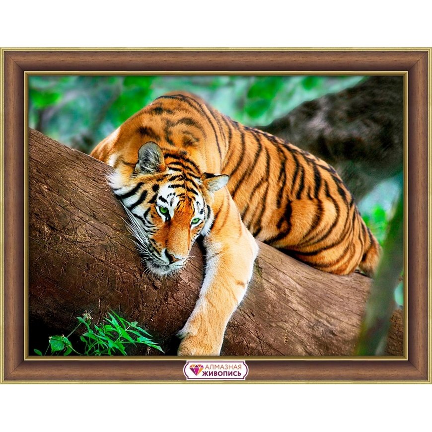 Beldizart Tiger on wood 40*30 cm