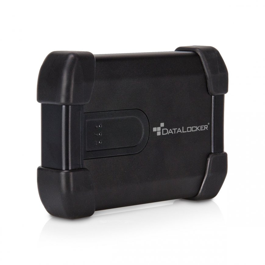 DataLocker H300 Basic išorinis kietasis diskas 500 GB Juoda – 2
