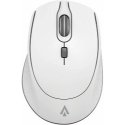 Pelė Accura Laurel ACC-M1053 Balta Silent Pelė Accura Laurel ACC-M1053 Balta Silent
