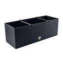 Prosperplast Flower pot with insert Wheel case DRTC500 anthracite Prosperplast Flower pot with insert Wheel case DRTC500 anthracite