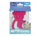 Chicco 143467 KOALA DANTYS NERŪDIJANČIO PLIENO 4M + MERGAITĖ Chicco 143467 KOALA DANTYS NERŪDIJANČIO PLIENO 4M + MERGAITĖ