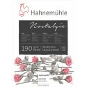 Hahnemühle Nostalgie Taidepaperi 50 arkkia