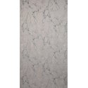 Wera ZAS / VERA / BEIGE 140X250 TRANS Wera ZAS / VERA / BEIGE 140X250 TRANS