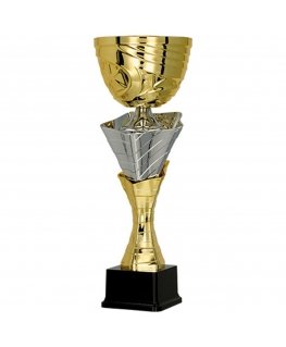 Detail Gold and silver metal cup