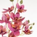 Eurofirany KW/NATU/367/R+Y PINK+YELLOW Eurofirany KW/NATU/367/R+Y PINK+YELLOW