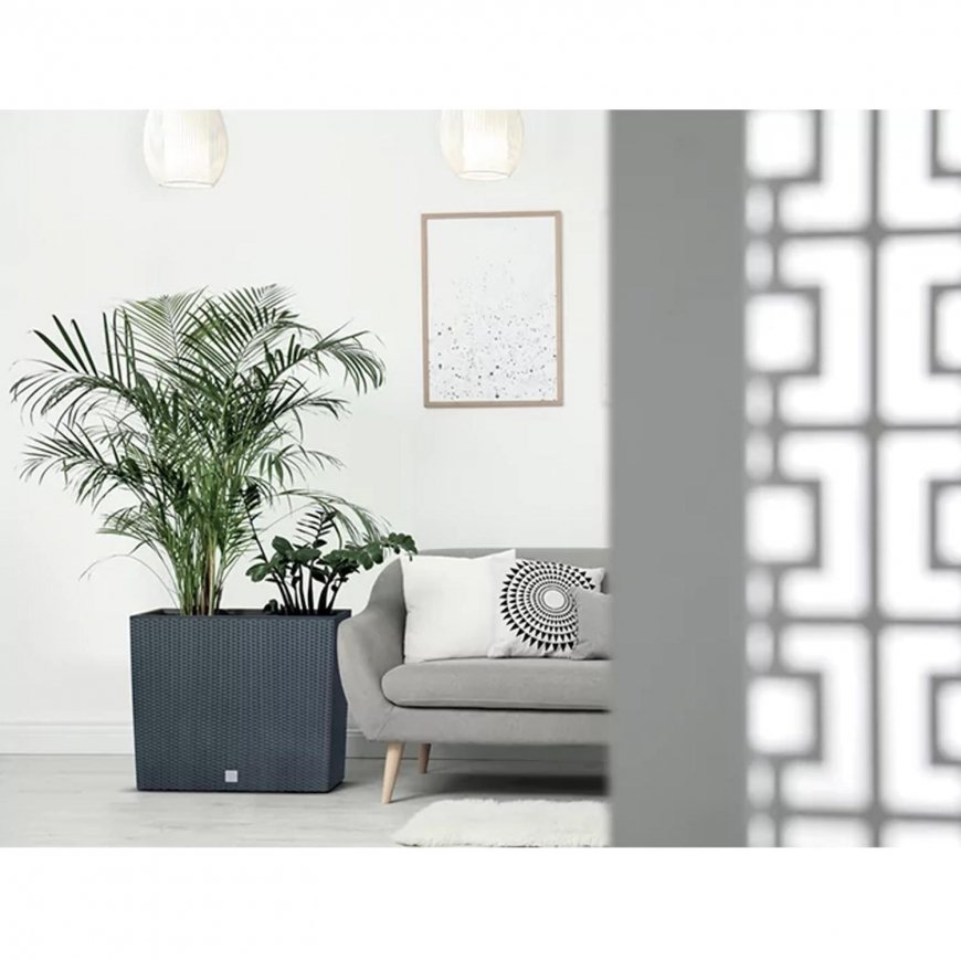 prosperplastdiv class"int_ce_html" Rato Case Tower DRC600T umbra pot/div – 2