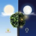 Saska Garden Solar Lamp Set 3 Boxwood Balls Saska Garden Solar Lamp Set 3 Boxwood Balls