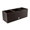 Prosperplast Pot with insert Rato Case DRTC500 um Prosperplast Pot with insert Rato Case DRTC500 um