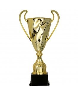 Detail Golden metal cup