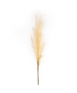 Eurofirany KW/FLORE/708/BEIGE BEIGE