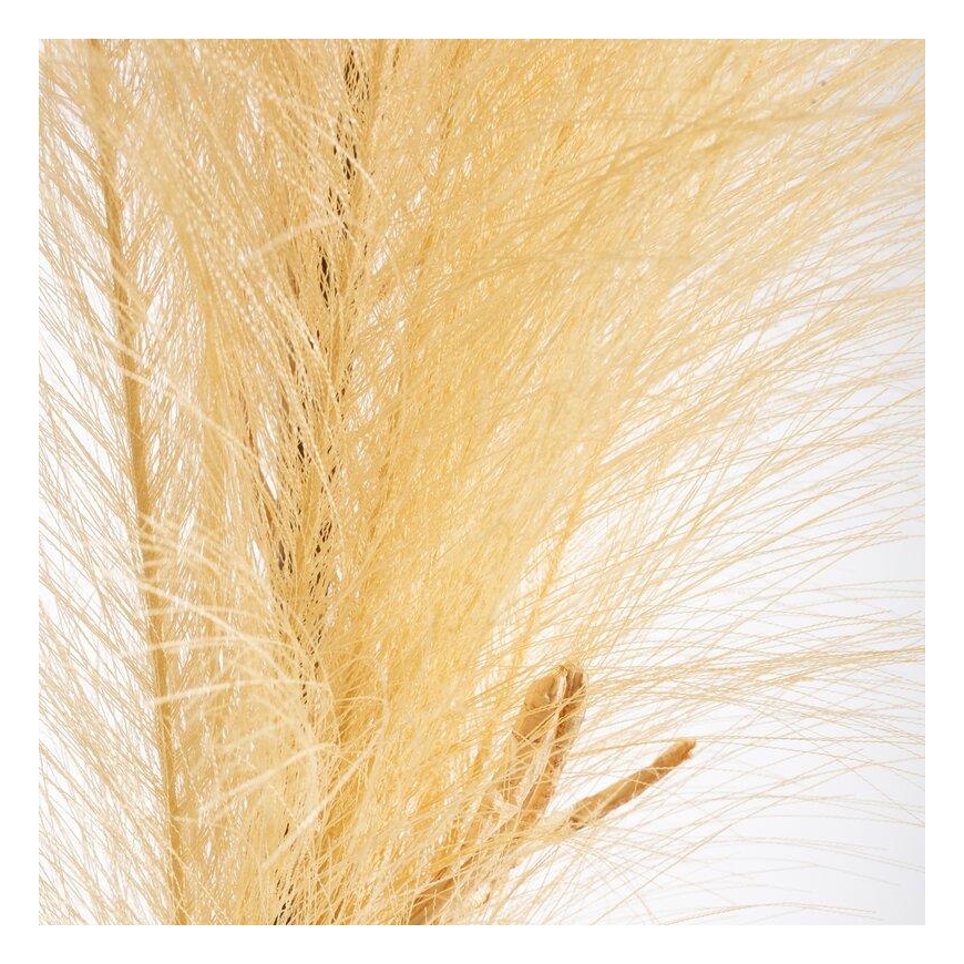 Eurofirany KW/FLORE/708/BEIGE BEIGE – 2