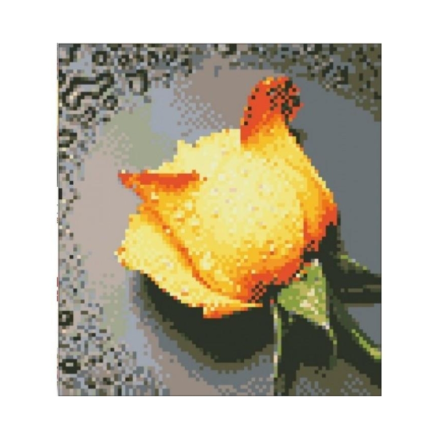 Beldizart SALE (Discontinued) Diamond Painting Kit