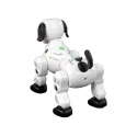 Lean Cars Interactive remote-controlled robot puppy