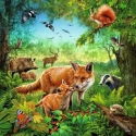 Ravensburger 4005556093304 Kontūras puzle 147 pcs Dzīvnieki Ravensburger 4005556093304 Kontūras puzle 147 pcs Dzīvnieki