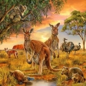 Ravensburger 4005556093304 Kontūrinė dėlionė 147 vnt Gyvūnai Ravensburger 4005556093304 Kontūrinė dėlionė 147 vnt Gyvūnai