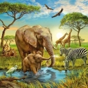 Ravensburger 4005556093304 Kontūras puzle 147 pcs Dzīvnieki Ravensburger 4005556093304 Kontūras puzle 147 pcs Dzīvnieki