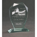 Tryumf Engraved glass trophy with case