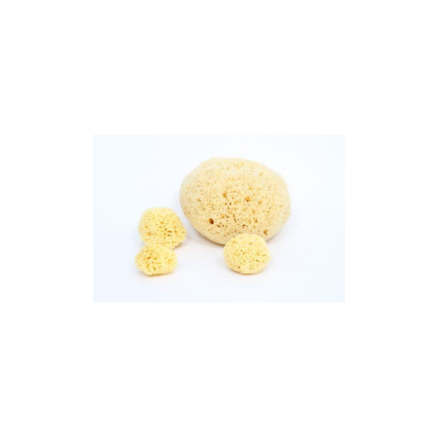 Babu® natural sponge no. 10 – 4