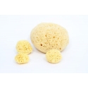 Babu® natural sponge no. 10 Babu® natural sponge no. 10