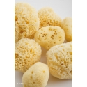 Babu® natural sponge no. 10 Babu® natural sponge no. 10