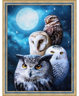 Beldizart Night owls 30*40 cm AM1738