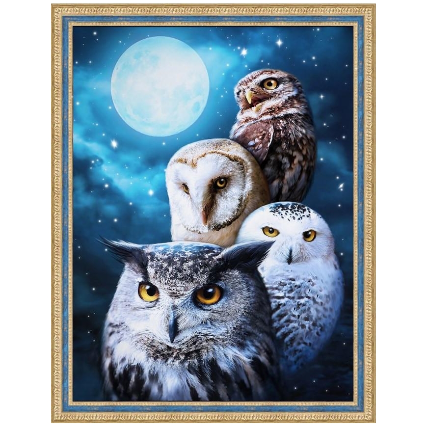 Beldizart Night owls 30*40 cm AM1738