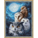 Beldizart Night owls 30*40 cm AM1738 Beldizart Night owls 30*40 cm AM1738