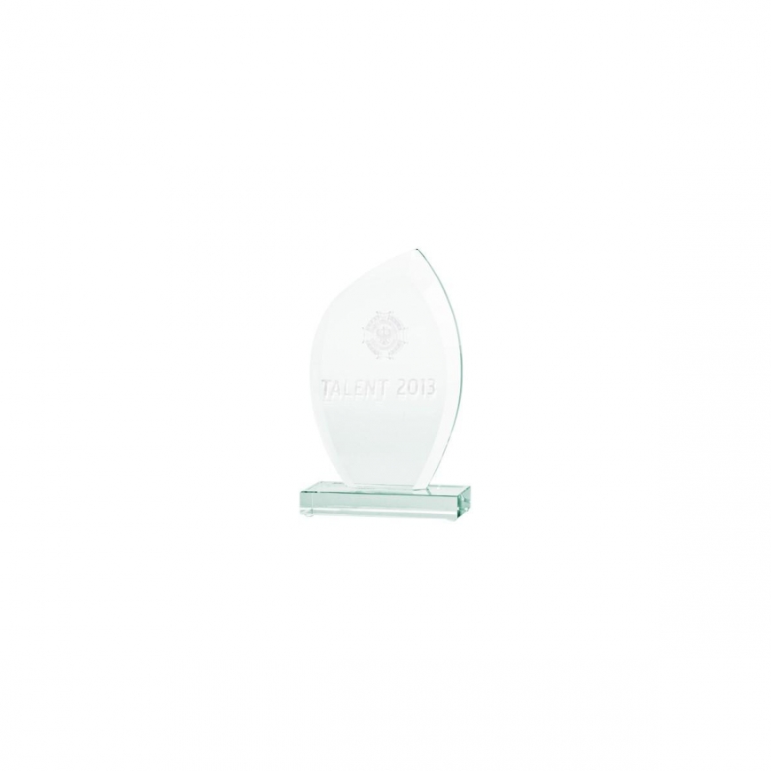 Tryumf 3D engraved glass trophy with case – 2