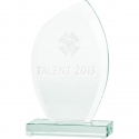 Tryumf 3D engraved glass trophy with case