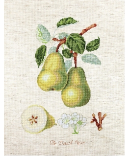 Riolis Embroidery set 17.5x26cm SBA22420