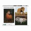 Ambassador Wildlife 3x1000 Pieces (Donal Boyd) Ambassador Wildlife 3x1000 Pieces (Donal Boyd)