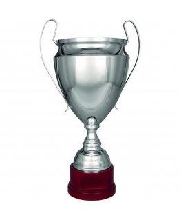 Tryumf CUP 2020C