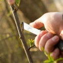 Cellfast folding garden knife glasses