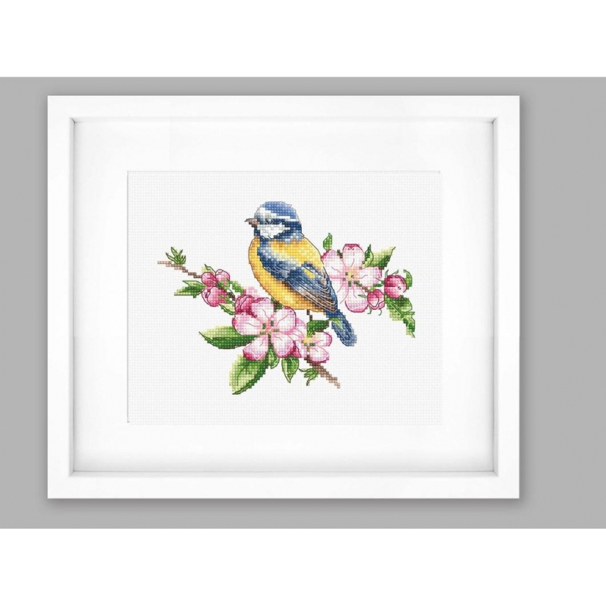 luca S Blue Tit SB1195 – 5